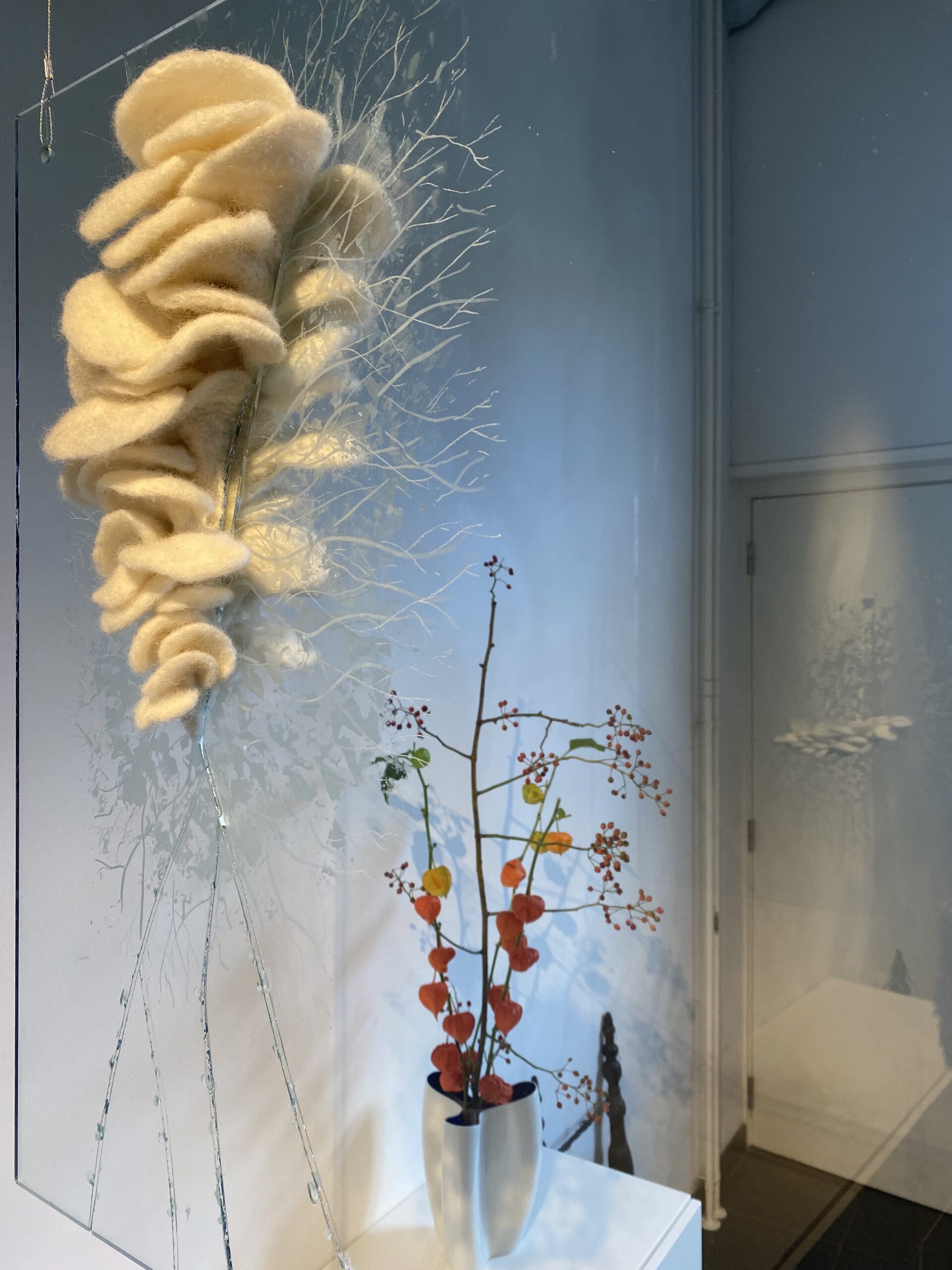 A Fresh Lease Of Life